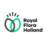 Royal FloraHolland